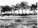P20837.jpg