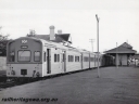 P20851.jpg