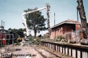 P20931.jpg