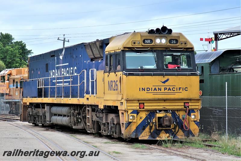 P21005
Pacific National NR class 26 in the yellow and blue livery with the Indian Pacific name and logo on the nose and side, Rail Transport Museum, Bassendean, side and front view. 

