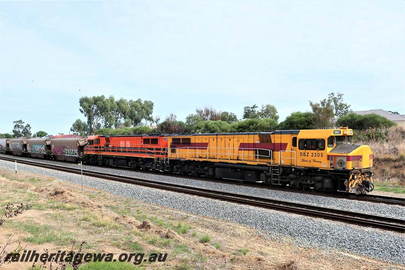 P21008
CBH Group locos DBZ class 2305 Shire of Harvey and DBZ class 2302 Shire of Serpentine-Jarrahdale heading northwards on an empty grain train
