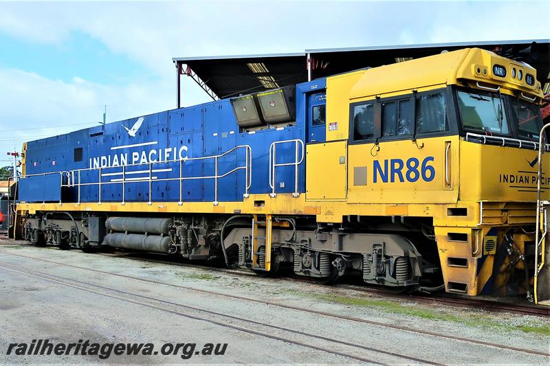 P21019
Pacific National NR class 86 in the blue and yellow livery. The Indian Pacific 