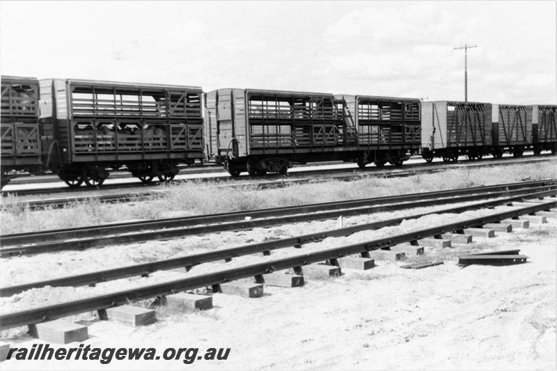 P21095
Rake of double deck sheep wagons, stock wagons, Bellevue yard, ER line, end and side view
