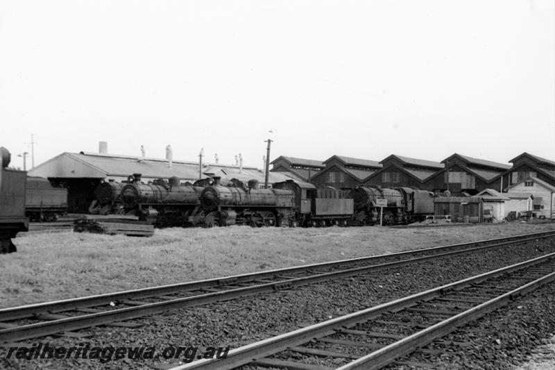 P21131
Loco sheds, various steam locos, tracks, East Perth, ER line, trackside view
