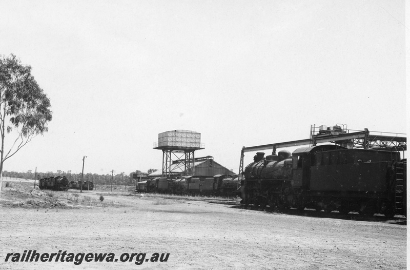 P21175
Stowed steam locos, preparation shed, water tank, gantry crane, Collie loco depot, BN line, c1972
