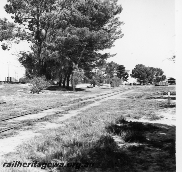 P21247
Site of proposed Rail Transport Museum Bassendean. Photo shows siding into Commonwealth Engineering and row of pine trees along Railway Parade  and rake of wagons near entry gate to Commonwealth Engineering.
