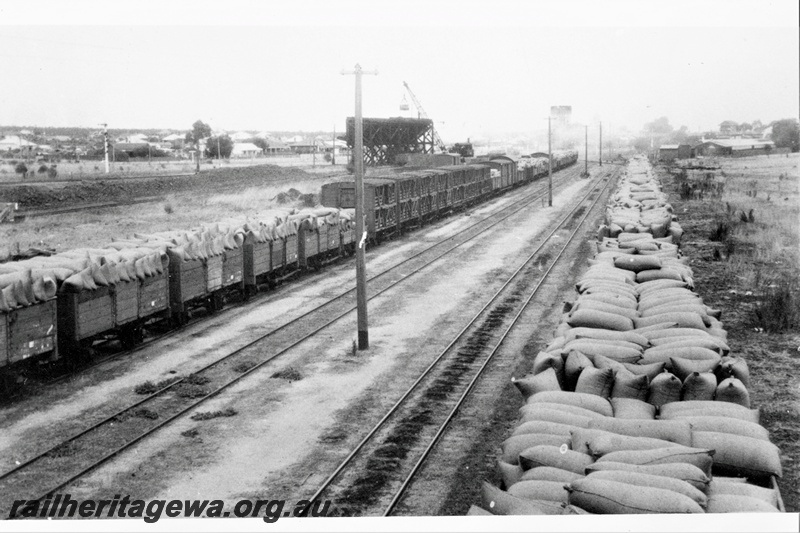 P21305
Rake of goods wagons and vans including C class sheep wagons, and open wagons laden with bagged wheat, signal, coaling stage, crane, piles of bagged wheat, Merredin, EGR line, view from elevated position, c before 1931 
