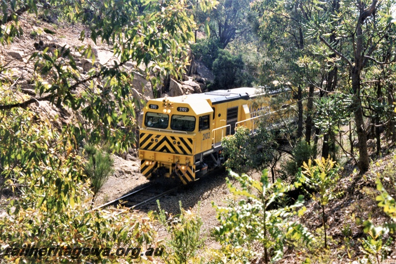 P21354
Westrail S class 2102 loco in the yellow with black chevrons livery heading an empty bauxite train near the mine, elevated view of the loco in a cutting emerging from the foliage surrounding the track
