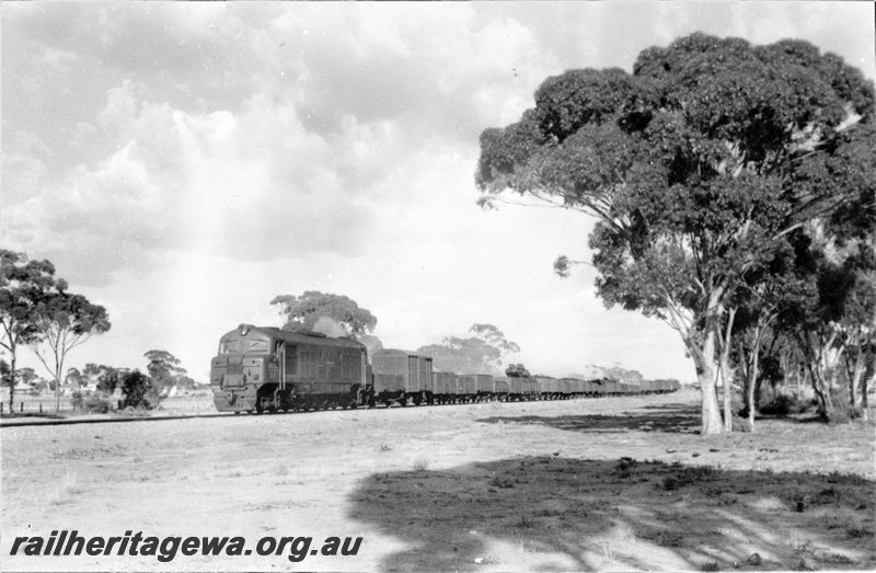 P22837
X class loco, on eastbound goods train, Merredin, EGR line, front and side view
