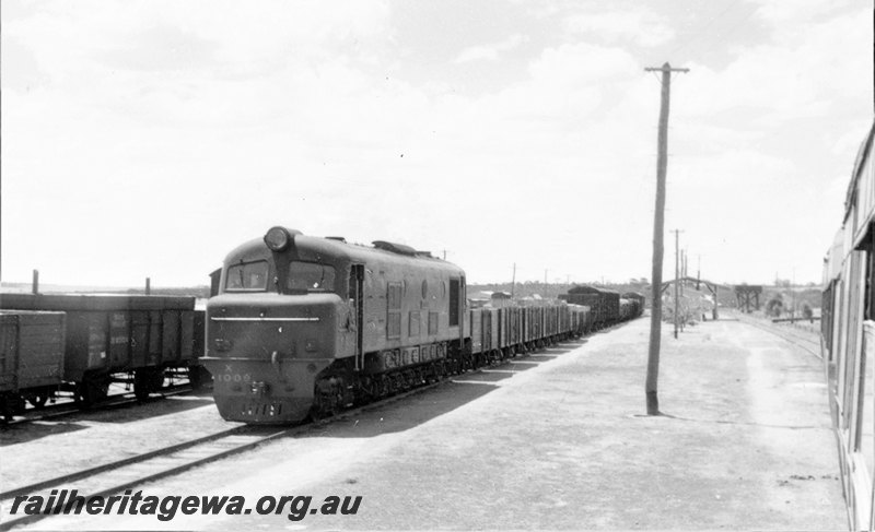 P22839
X class 1009, on goods train, wagons, yard, Amery, GM line, front and side view
