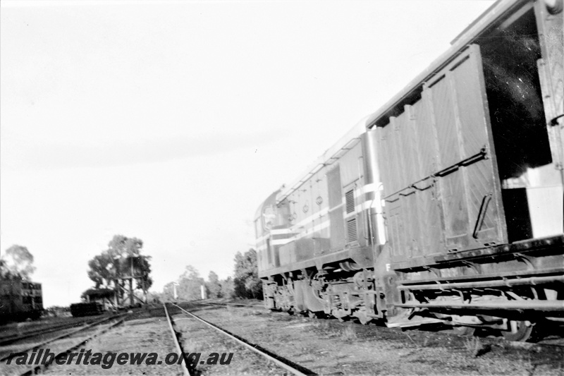 P23040
Midland Railway Co diesel on goods train, tracks, Muchea, MR line, side view from track level
