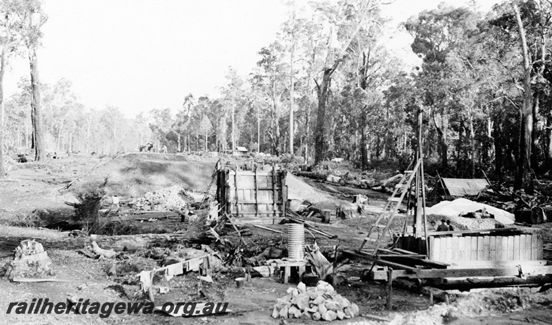 P23133
Commissioner's tour to the south west, railway construction in the forest, Collie, BN line, ground level view
