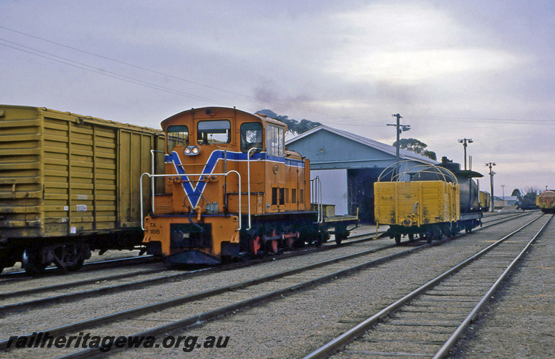 P23232
TA class 1815, wagon, van, tanker wagon, goods shed, Katanning, GSR line, end and side view
