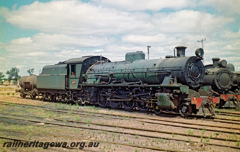 P24166
W class 901, Collie locomotive depot, BN line, side and front view
