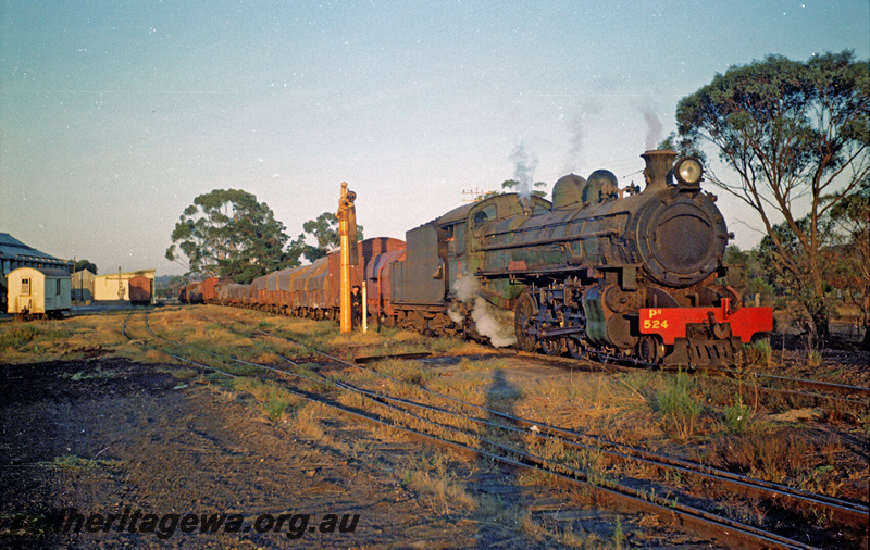P24179
PR class 524 on Narrogin to Merredin goods train, water crane, trackwork, vans, shed, Narrogin, NKM line, side and front view
