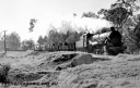 Filename=P24016.jpg
Filesize=257KiB
Dimensions=800x512
Date added=Oct 12, 2025 P24016.jpg