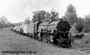 P24021.jpg