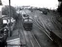 P24035.jpg