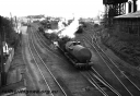 P24036.jpg