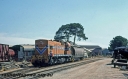 P24096.jpg