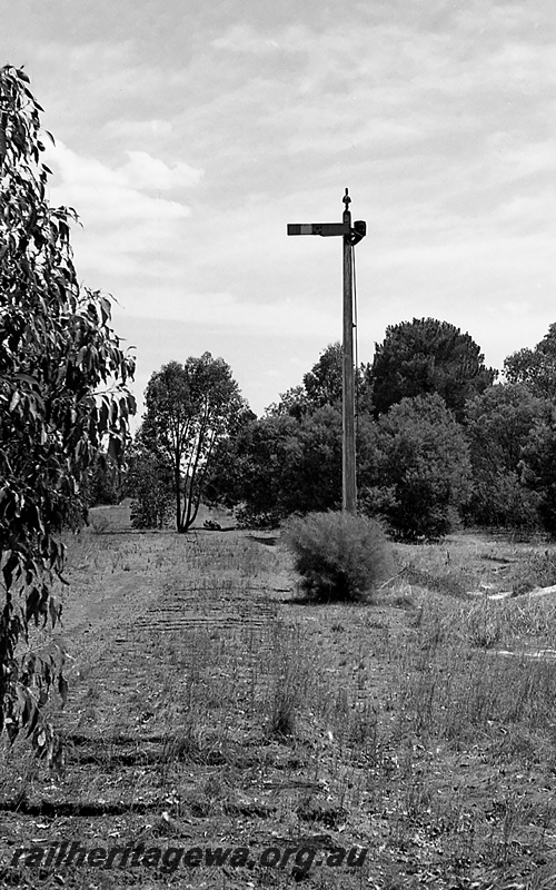 P24259
Former semaphore home signal, track bed, bush , Glen Forrest, ER line, view from ground level
