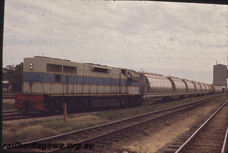 T01479
L class 260, grain train, original livery

