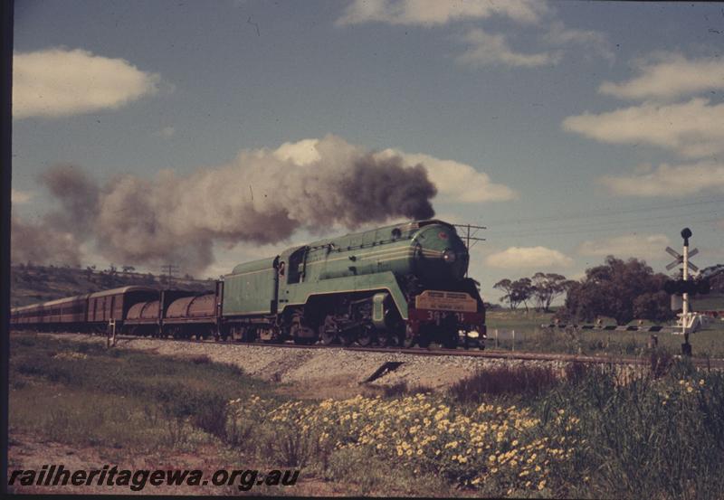 T02241
NSWR loco C 3801, 