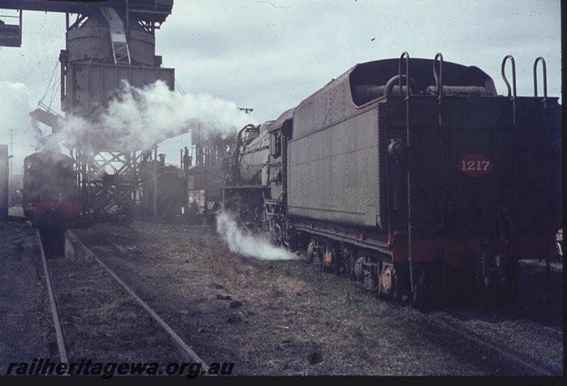 T02330
V class 1217, Bunbury loco depot, SWR line,  rear view
