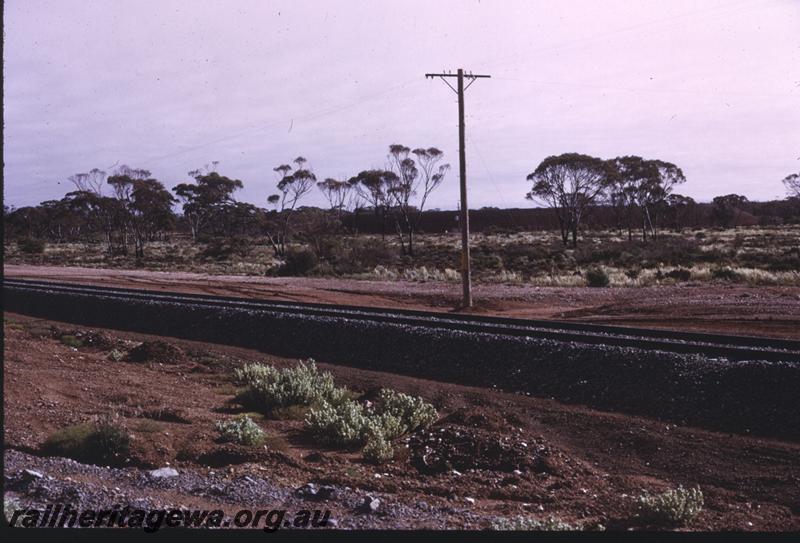 T02841
Trackwork, new standard gauge track on the Kalgoorlie to Esperance line near Kambalda
