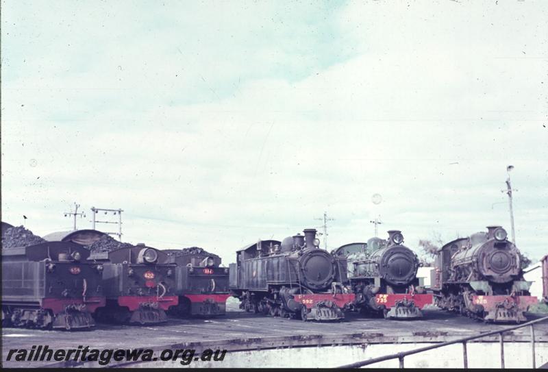 T02874
Various locos including DD class 592, around turntable, Bunbury loco depot
