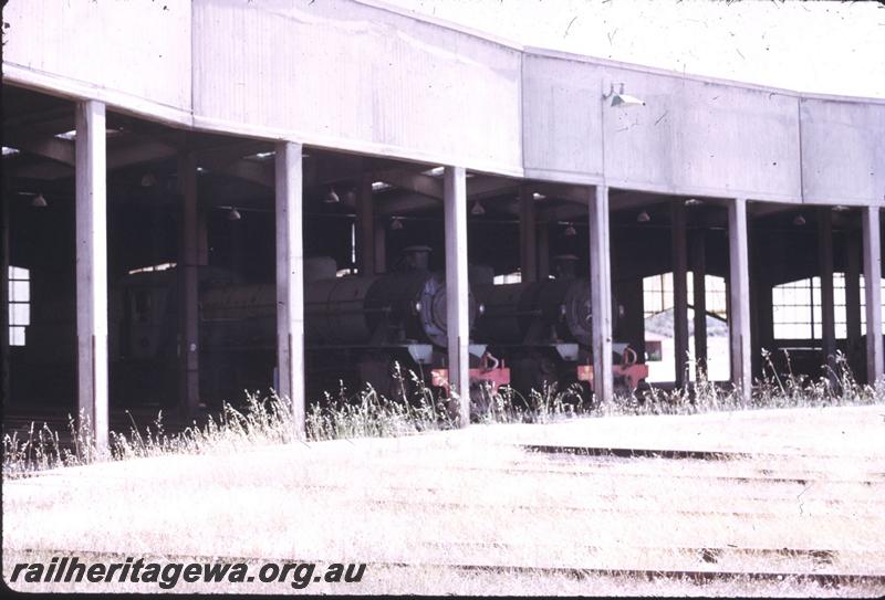 T02876
Roundhouse, Collie
