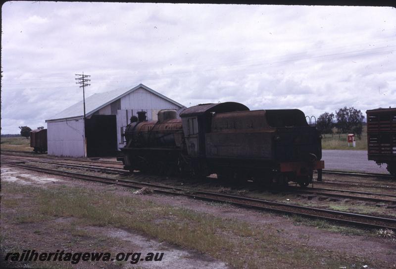 T02880
W class 907, goods shed, Pinjarra, awaiting restoration, rear view

