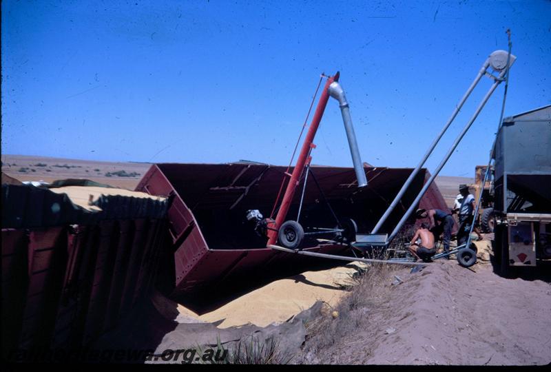T02963
Two of ten photos of a derailment at Dongara, MR line, derailed wagons being emptied of wheat
