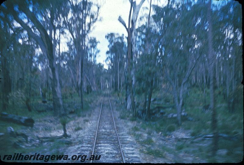 T02982
Track, Jarrahdale bush line
