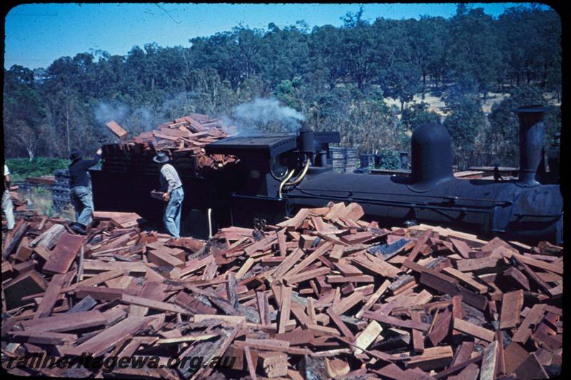 T03004
Millars loco No.58, Jarrahdale, at woodpile being loaded with firewood

