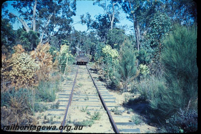 T03010
Track, Jarrahdale bush line, view forward from loco
