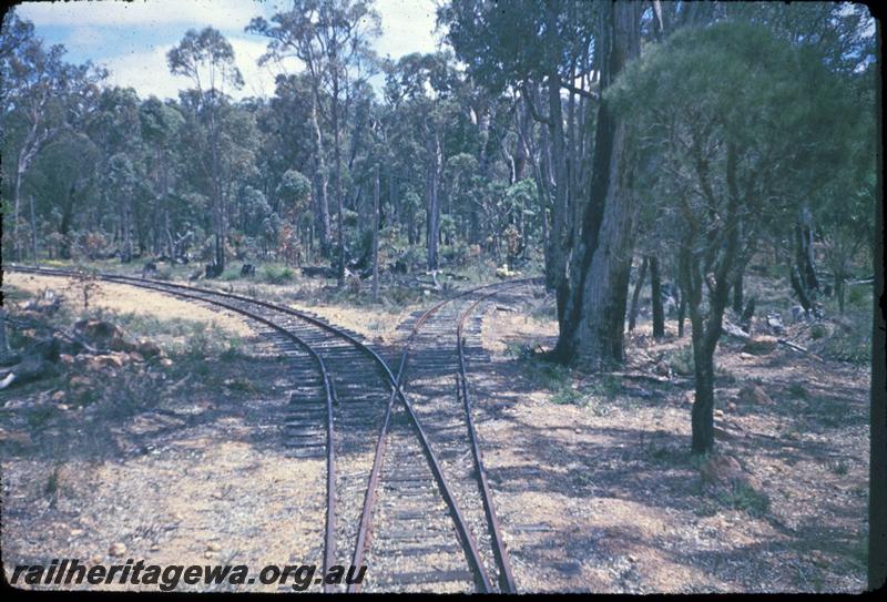 T03145
ARHS first tour, Millars loco No.58, view of triangle near Albany Highway.

