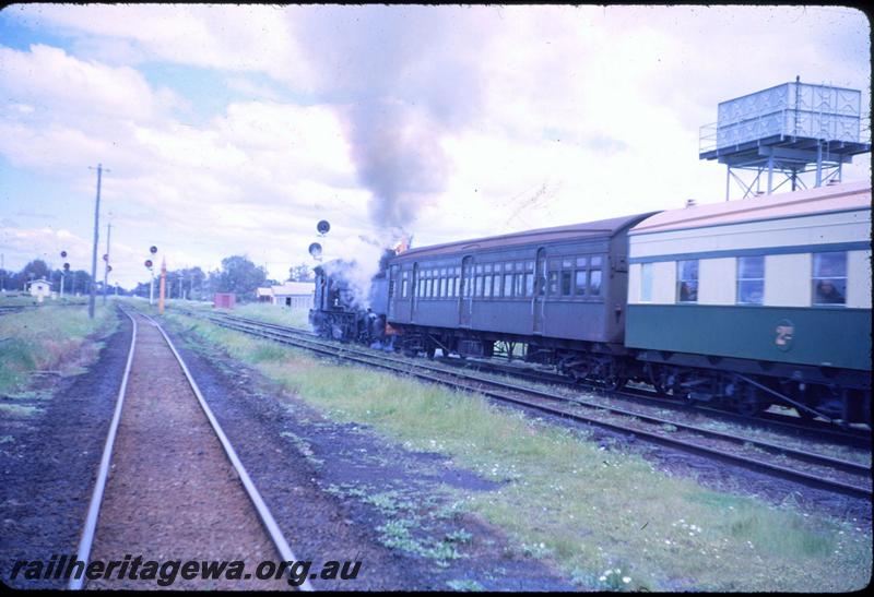 T03329
MSA class 499 Garratt loco, Pinjarra yard, SWR line, ARHS tour train to Dwellingup, shows water tower

