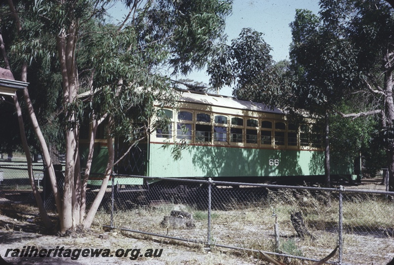 T04353
Tram number 66, among trees, Perth Zoo, side view
