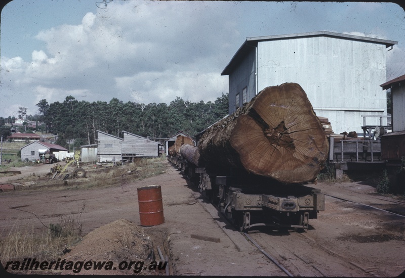 T04360
Rake of flat wagons laden with timber logs, on siding to steam saw, end view, Pemberton Saw Mill, PP line
