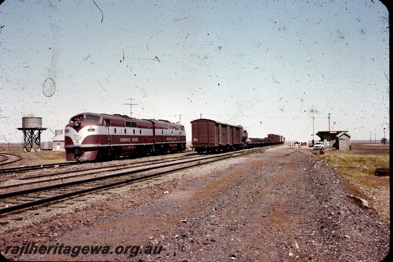 T04409
7 of 38 images of Commonwealth Railways (CR) 