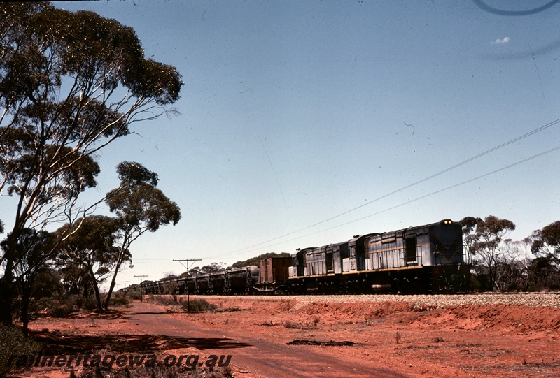 T04663
KA class standard gauge diesel locomotives hauling a Leonora bound freight train at the 80km post.
