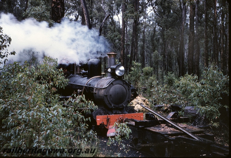 T04976
SSM steam loco, flat wagon, at work in the forest 
