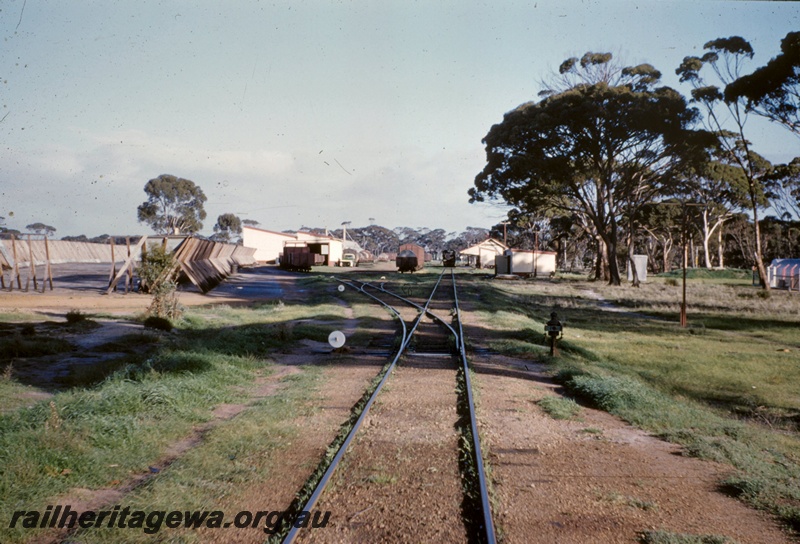 T05042
Station yard, wheat bin, goods shed, sidings, wagons, vans, steam loco, station building, platform, facing points, Gnowangerup, TO line, view from eastern end

