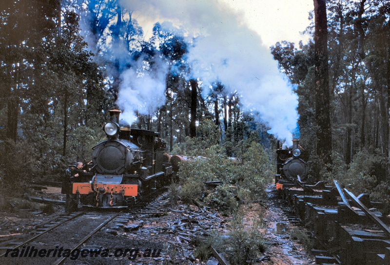 T05065
Steam loco on log train, another steam loco behind flat wagons, workers, deep in the forest, front views
