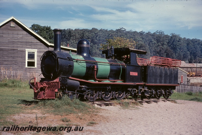 T05080
State Saw Mill steam loco No 7, on display, wooden buildings, forest, Pemberton, front and side view

