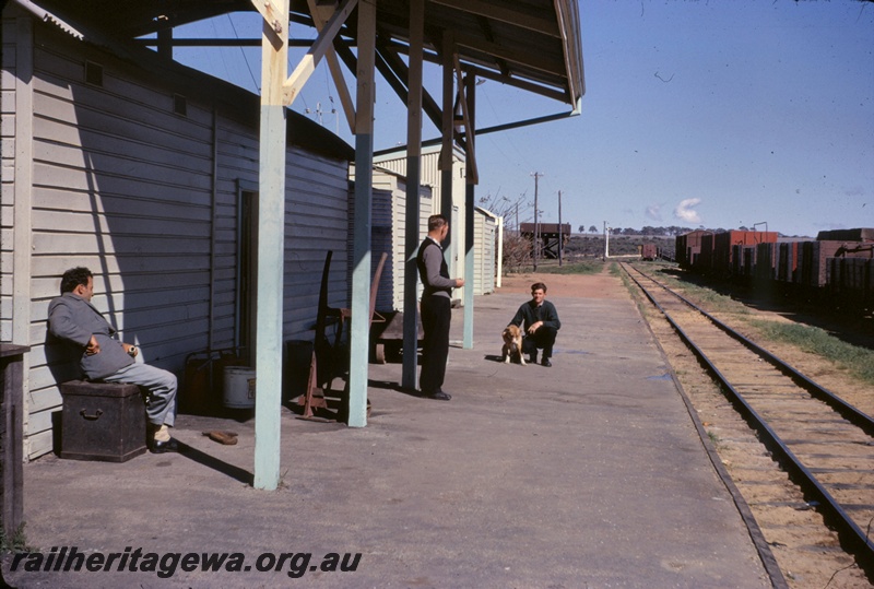 T05098
Platform, canopy, station buildings, water tower, rake of wagons, luggage trolley, NSM Frank Maloney with two men and a dog, Amery, GM line 
