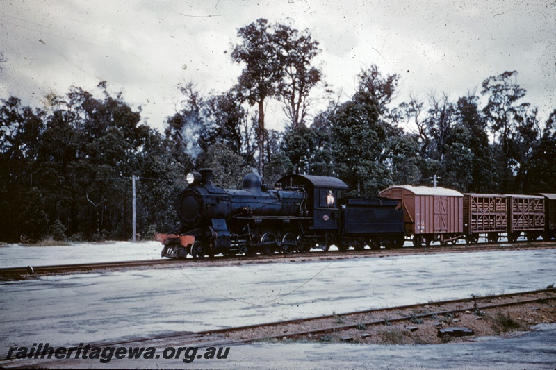 T05217
F class 399, on goods train including van and livestock wagons, Manjimup, PP line
