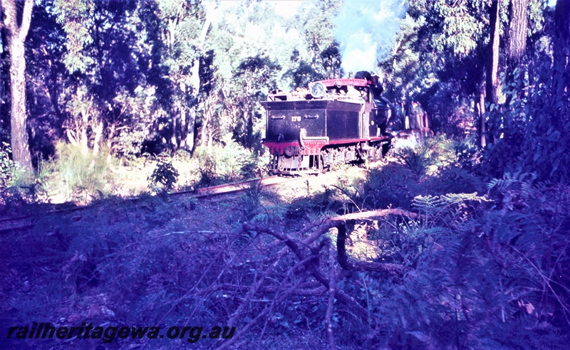 T05576
Donnelly Sawmills  Y class 176 tender first hauls train through forest between Yornup and Donnelly River timber mill.
