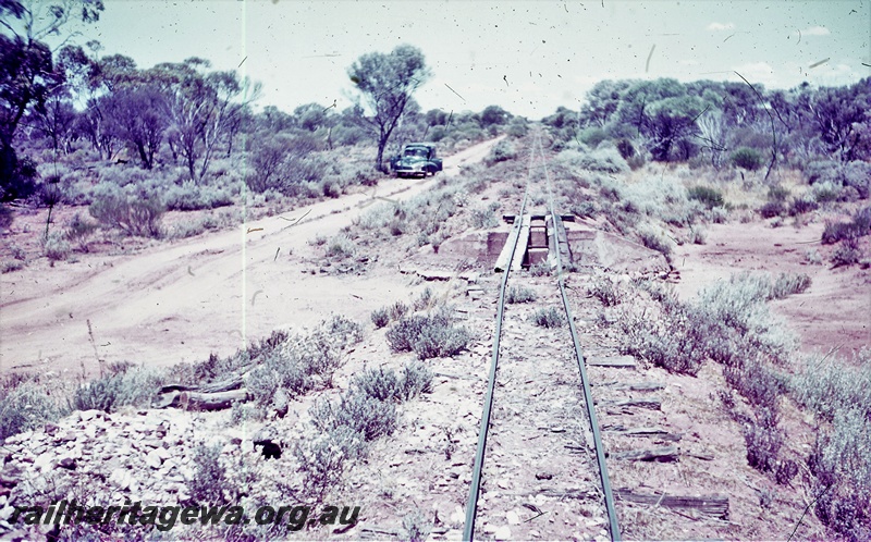T05586
Sons of Gwalia - view look along the track showing mulga trees on side of track.
